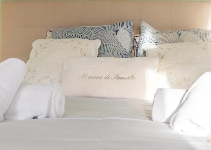 Les Trois Moulins - 10min De Pont L'eveque - 6 Personnes Tatil Evi